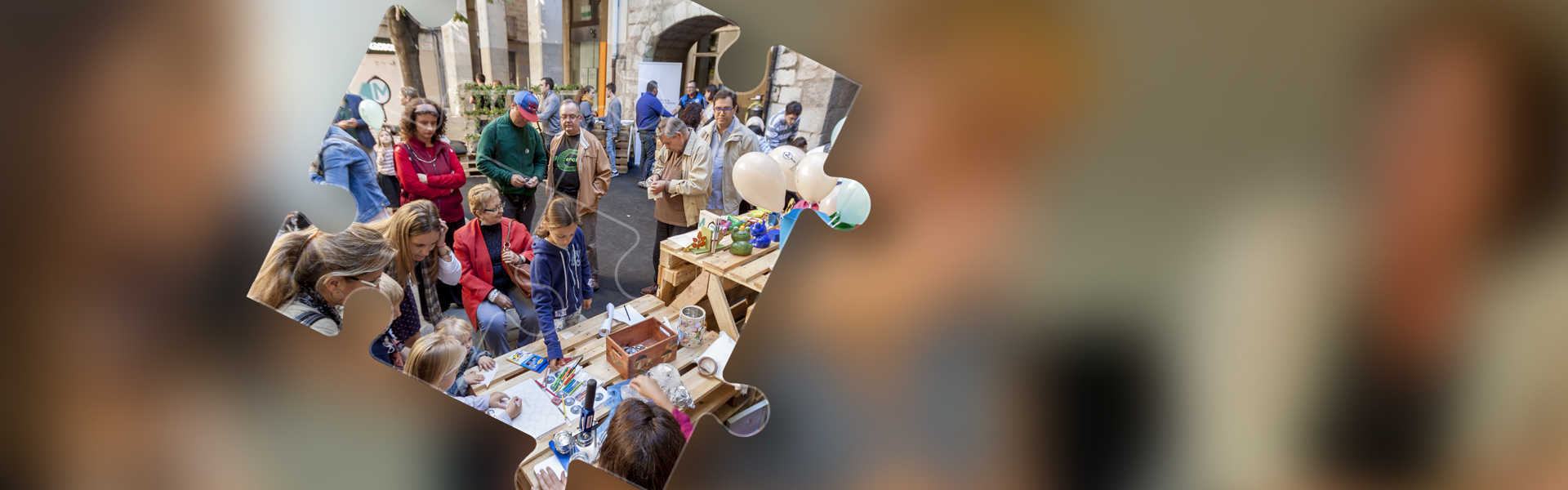 Associació Família i Salut Mental de Girona i comarques